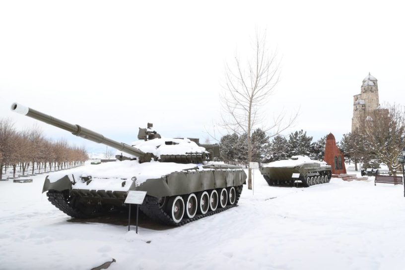 Саженец волгоградского тополя Победы высадят в городе воинской славы Малгобеке