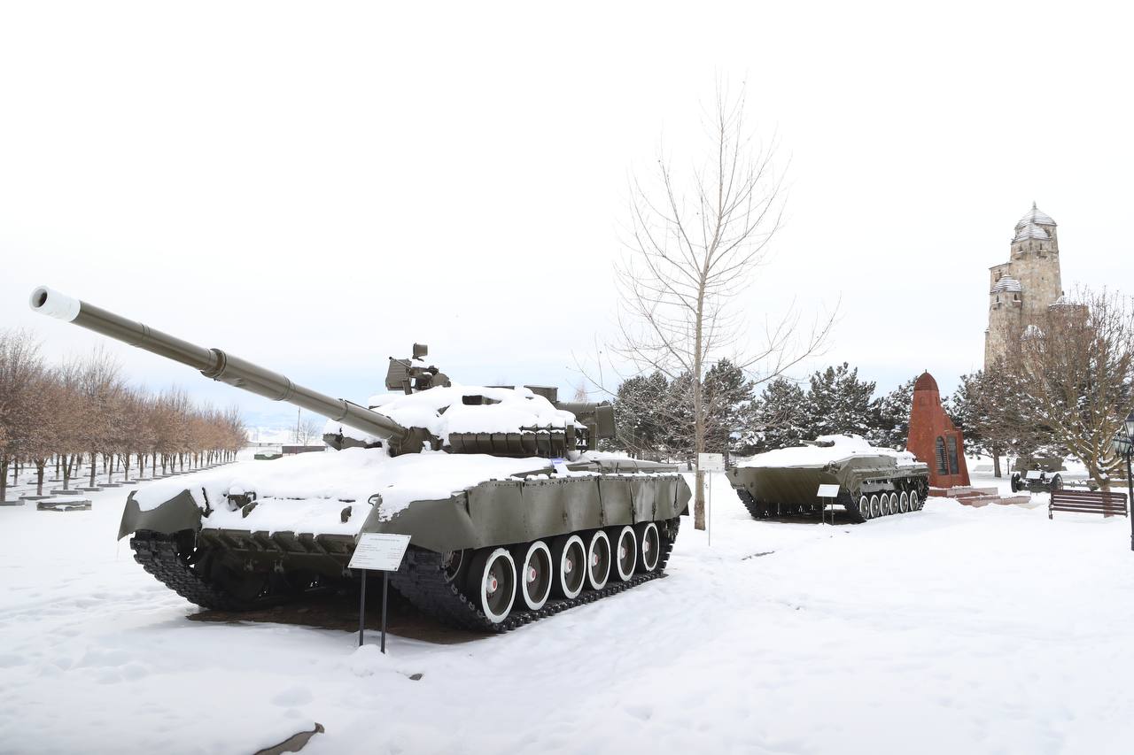 Саженец волгоградского тополя Победы высадят в городе воинской славы Малгобеке Саженец волгоградского тополя Победы высадят в городе воинской славы Малгобеке