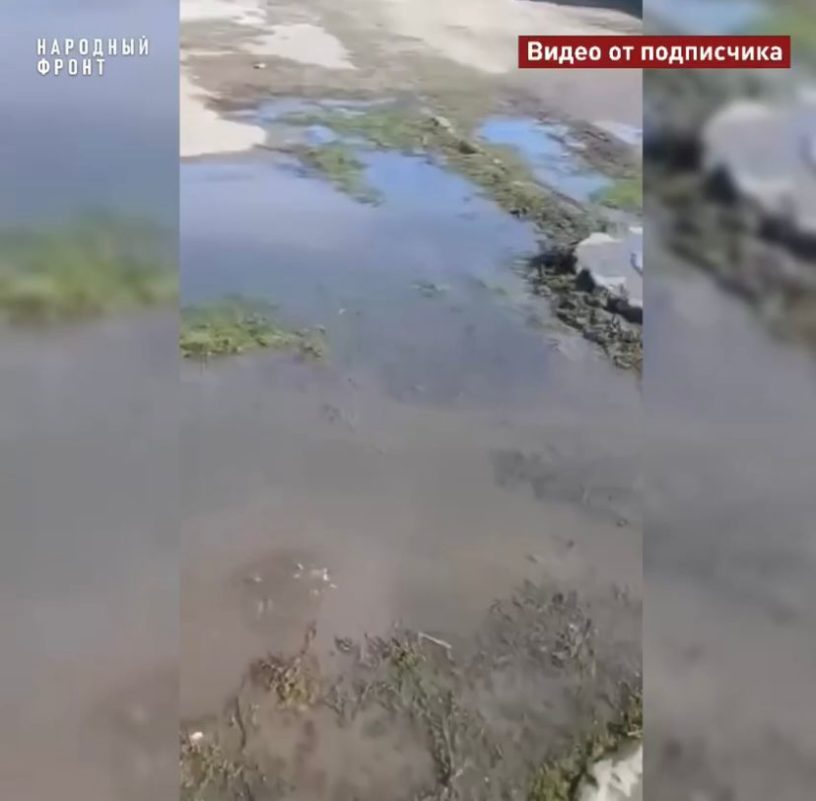 Улица Бекбузарова в Малгобеке затоплена из-за прорыва канализации