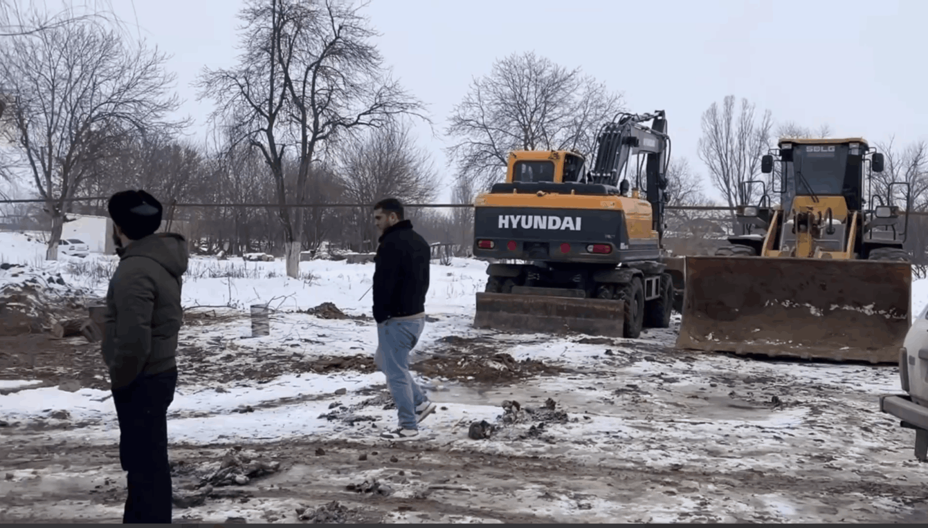 В Сунже Ингушетии выявлен факт незаконной вырубки деревьев