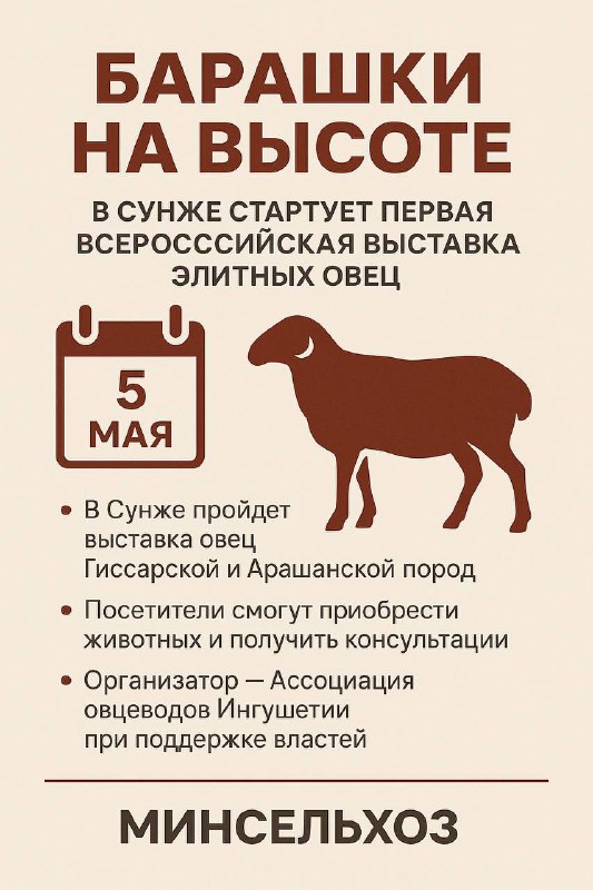 В Ингушетии впервые состоится выставка овец элитных пород