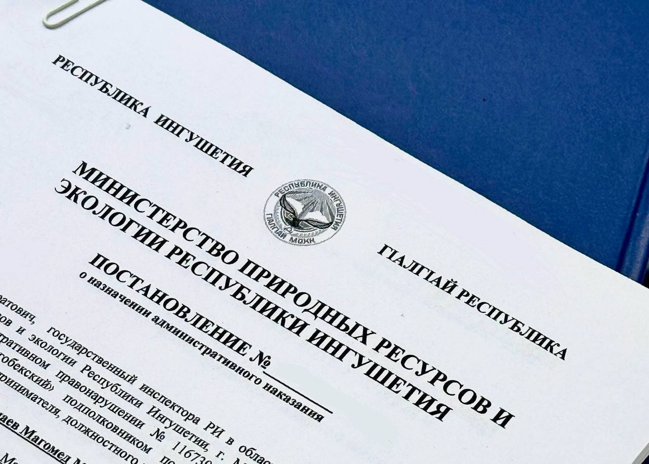 Руководители 16 школ Ингушетии оштрафованы за несдачу отчетности Руководители 16 школ Ингушетии оштрафованы за несдачу отчетности