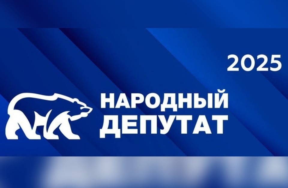 Жителей Ингушетии призывают проголосовать за «Народного депутата» 