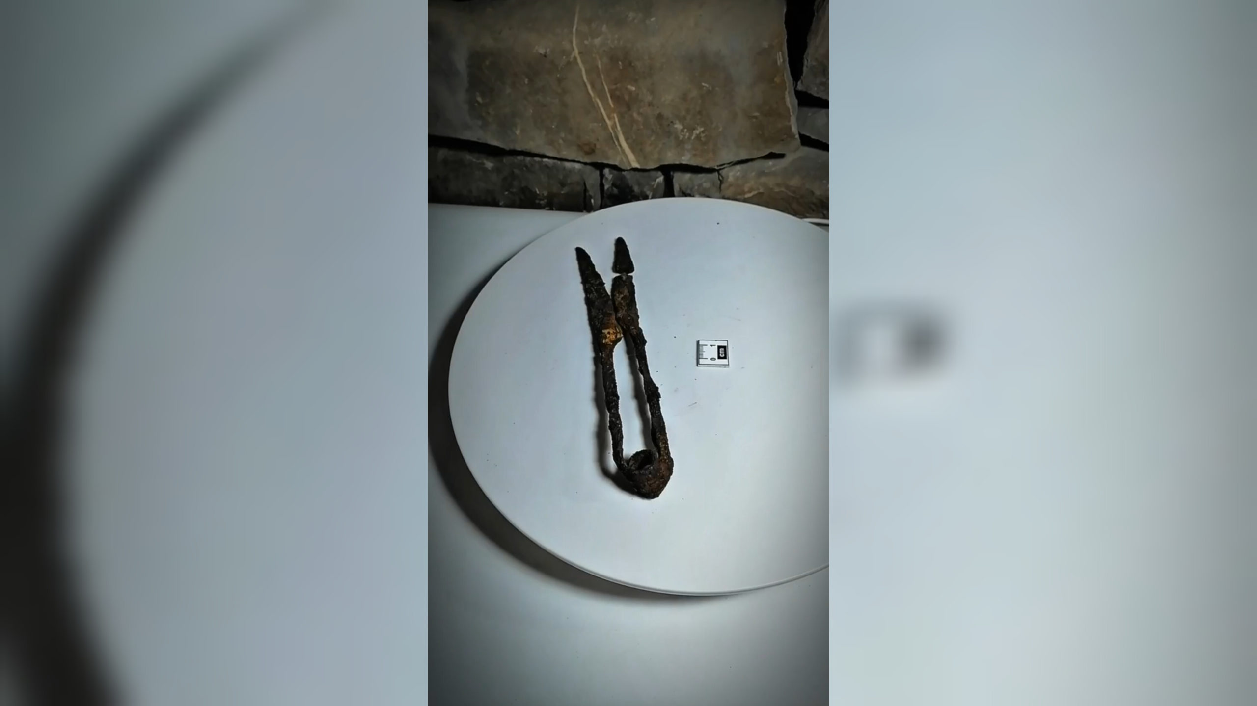 Старинные ножницы для стрижки скота найдены в горной Ингушетии Старинные ножницы для стрижки скота найдены в горной Ингушетии
