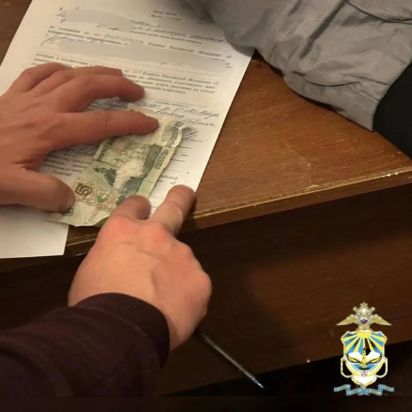 Заявление о краже в Ингушетии обернулось уголовным делом для потерпевшего 