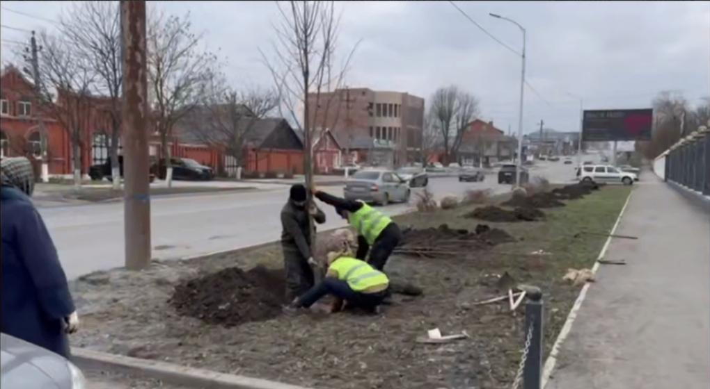 В Назрани приступили к весенним посадкам деревьев
