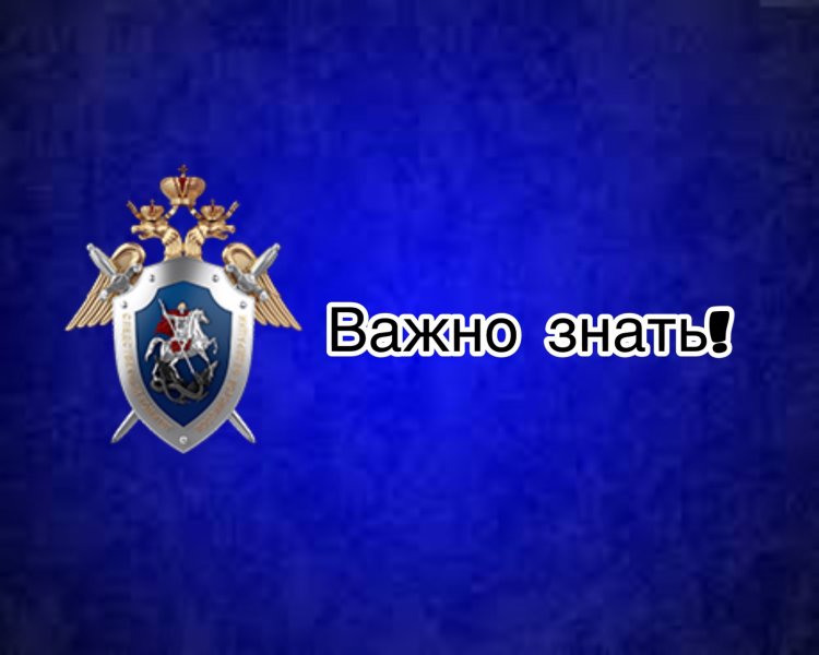 СУ СКР по Ингушетии призывает к цифровой бдительности 