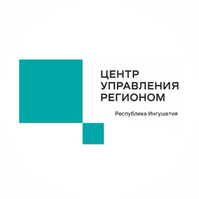 ЦУР Ингушетии за год опроверг 20 фейков 