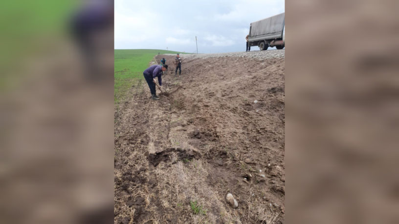 Вдоль трассы «Сунжа — Горагорск» высадили 200 саженцев акации
