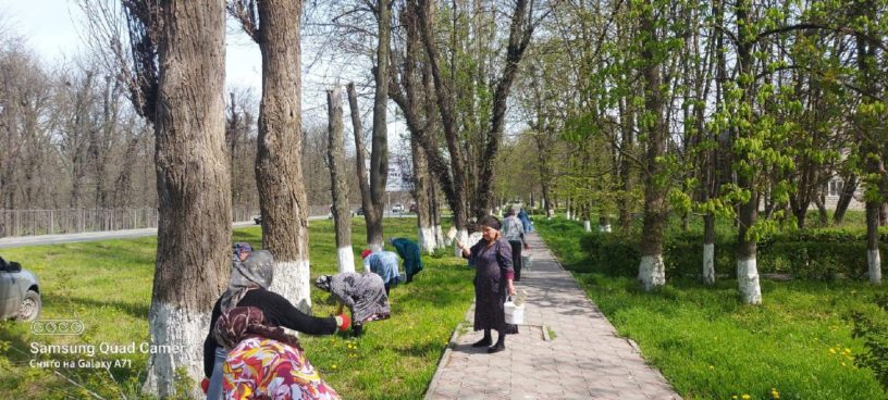 В Год экологии субботники прошли во всех населенных пунктах Ингушетии 