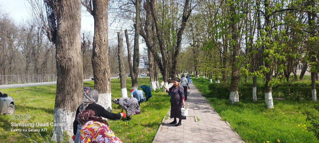 В Год экологии субботники прошли во всех населенных пунктах Ингушетии 