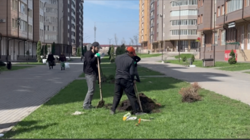 В Назрани активно создают зеленые зоны для жителей города