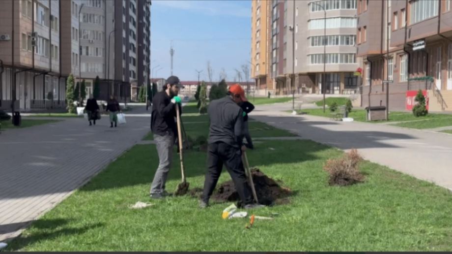 В Назрани активно создают зеленые зоны для жителей города