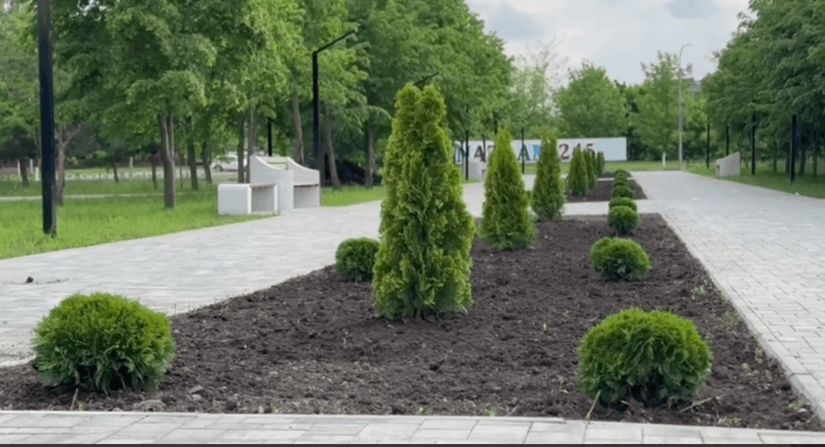 В Назрани начался новый этап озеленения городских пространств