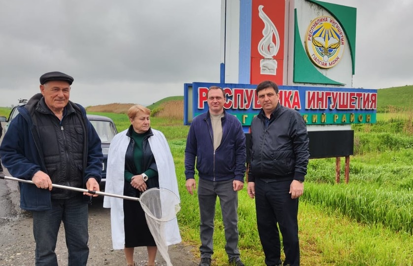 Совместные проверки не выявили нашествия саранчи в Ингушетии и Северной Осетии