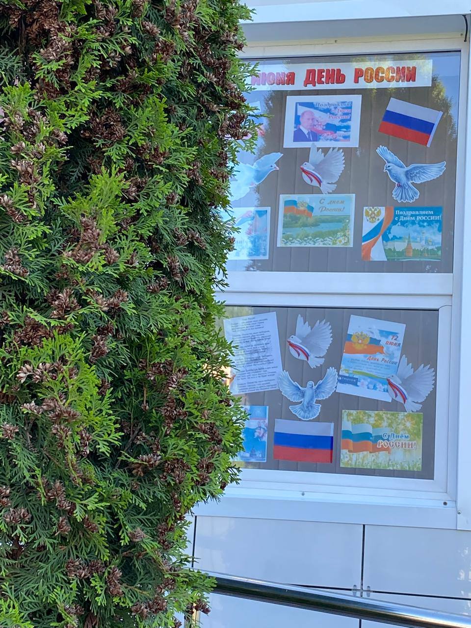 Библиотеки Назрановского района Ингушетии принимают участие в акции «Окна России» Библиотеки Назрановского района Ингушетии принимают участие в акции «Окна России»