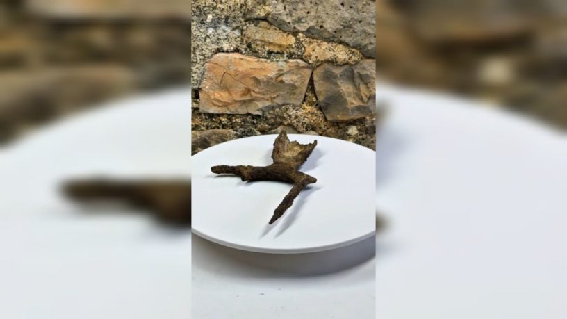 Фрагмент вил артельного производства обнаружили археологи в горах Ингушетии Фрагмент вил артельного производства обнаружили археологи в горах Ингушетии