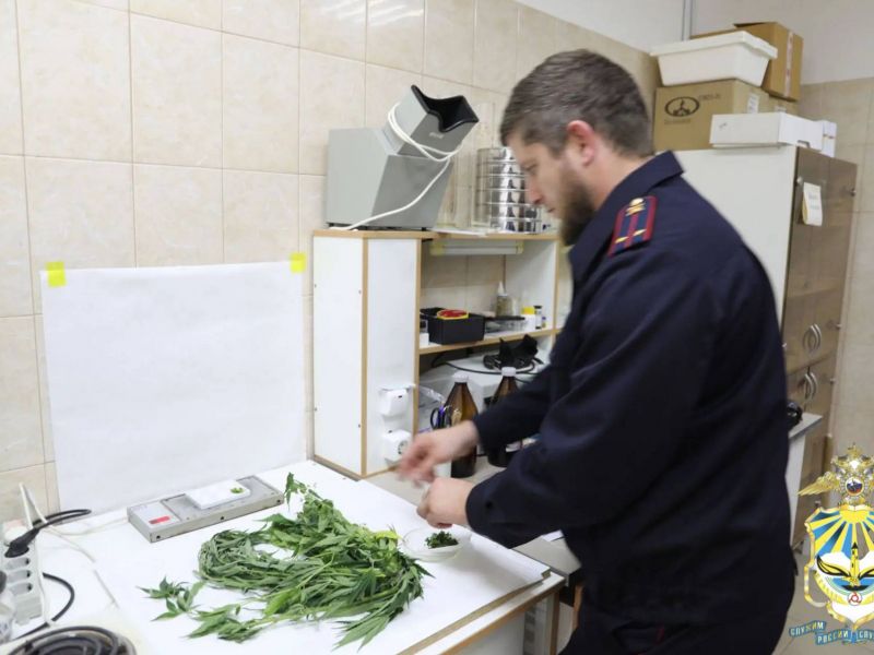 В Ингушетии борются с дикорастущими наркосодержащими растениями В Ингушетии борются с дикорастущими наркосодержащими растениями