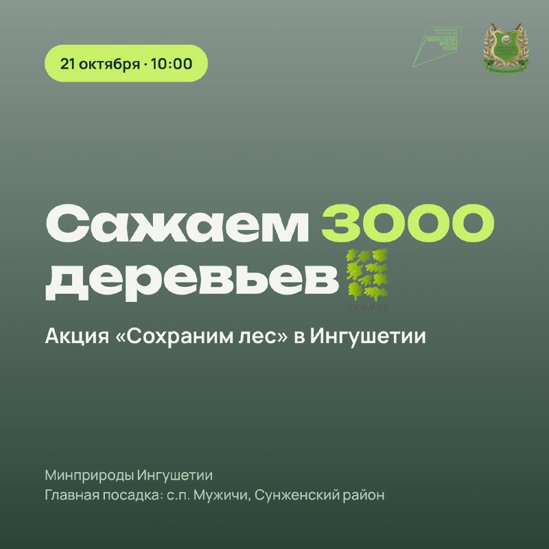В Ингушетии в рамках акции «Сохраним лес» высадят 3 тыс. деревьев В Ингушетии в рамках акции «Сохраним лес» высадят 3 тыс. деревьев